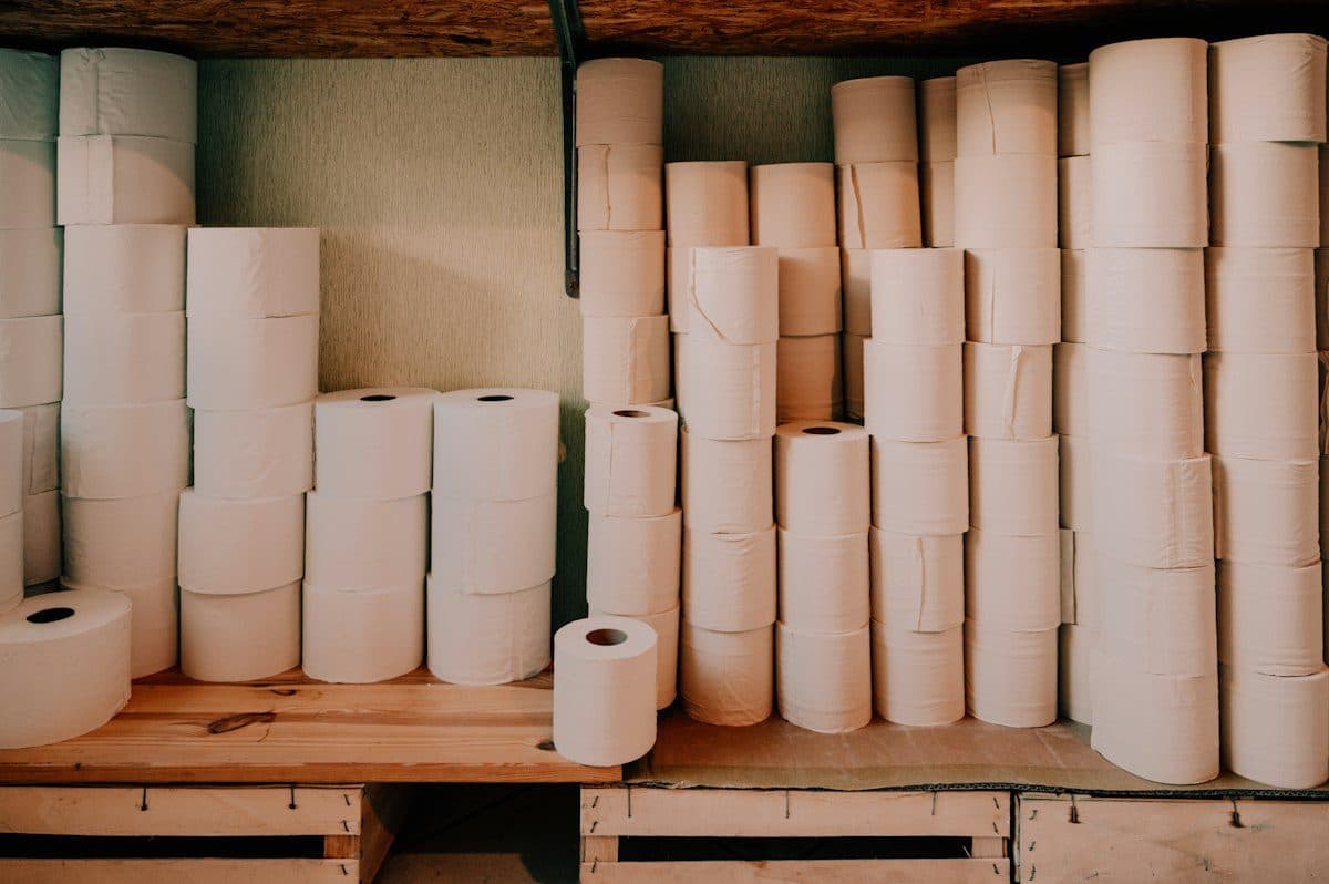 Rouleaux d’essuie-tout sur un support